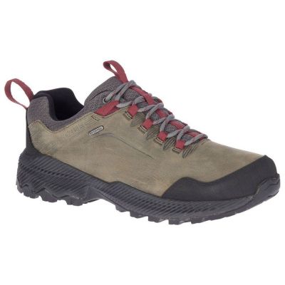 Merrell Forestbound WP