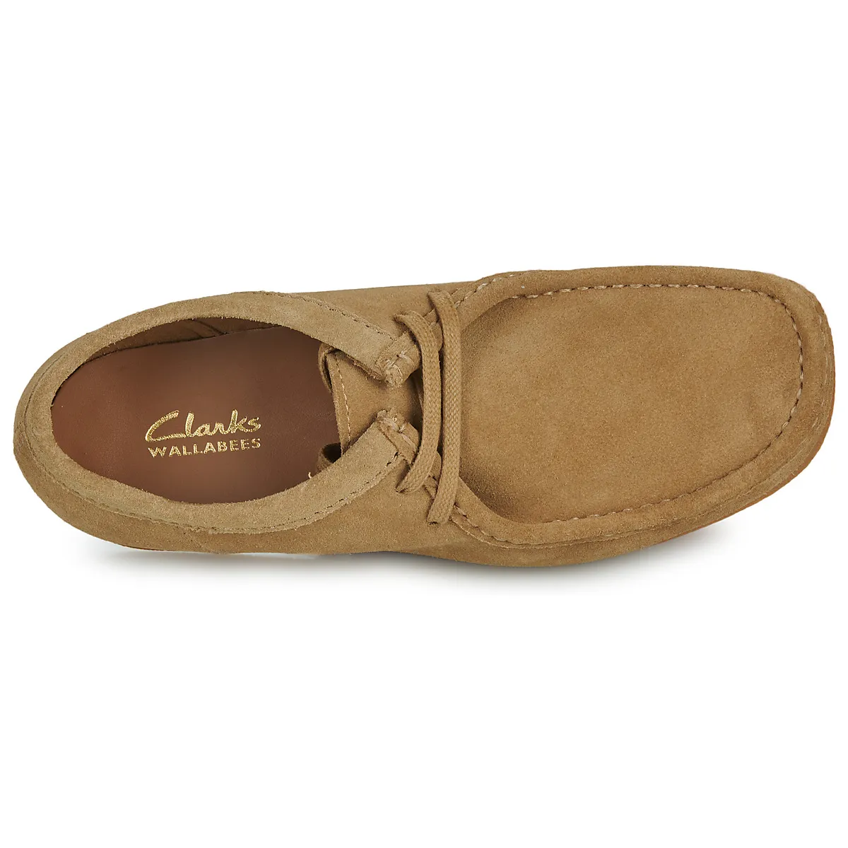 WALLABEE EVO