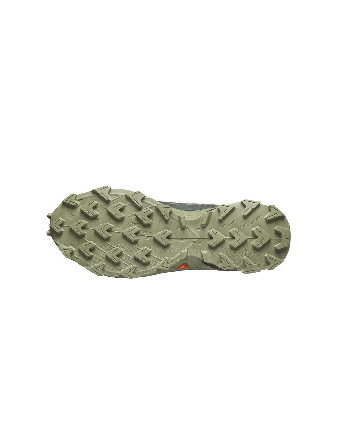 Zapatillas de Trail Salomon Alphacross 5 Gore - Tex Olive Night / Black / Deep Lichen Green Hombre